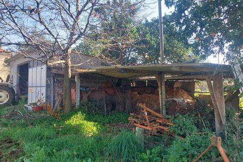 Helårsgrund i Bela, Viana do Castelo, Bela - € 95.000 | Ref: SF-SAFTI:005937 - foto 20