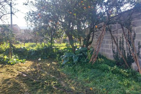 Helårsgrund i Bela, Viana do Castelo, Bela - € 95.000 | Ref: SF-SAFTI:005937 - foto 21