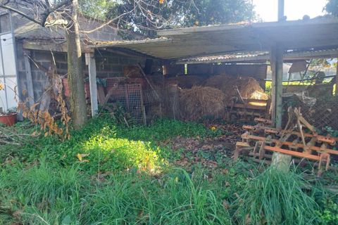Helårsgrund i Bela, Viana do Castelo, Bela - € 95.000 | Ref: SF-SAFTI:005937 - foto 25
