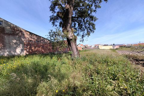 Helårsgrund i Leiria, Leiria, Leiria - € 50.000 | Ref: SF-SAFTI:007297 - foto 5