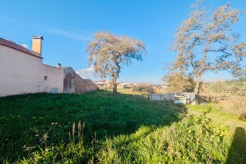 Helårsgrund i Leiria, Leiria, Leiria - € 50.000 | Ref: SF-SAFTI:007297 - foto 6