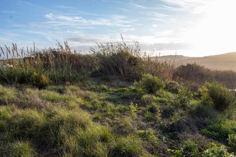 Helårsgrund i Mafra, Lisbon, Mafra - € 80.000 | Ref: SF-SAFTI:004183 - foto 14