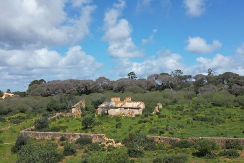 Helårsgrund i Lagoa, Faro, Lagoa - € 2.800.000 | Ref: SF-SAFTI:005001 - foto 3