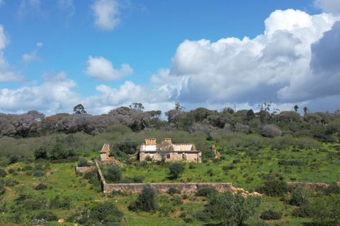 Helårsgrund i Lagoa, Faro, Lagoa - € 2.800.000 | Ref: SF-SAFTI:005001 - foto 4