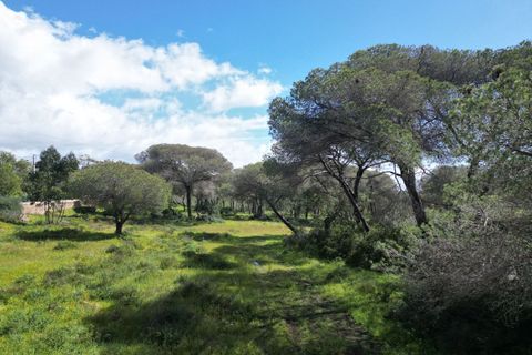 Helårsgrund i Lagoa, Faro, Lagoa - € 2.800.000 | Ref: SF-SAFTI:005001 - foto 6