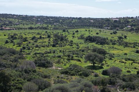 Helårsgrund i Lagoa, Faro, Lagoa - € 2.800.000 | Ref: SF-SAFTI:005001 - foto 8