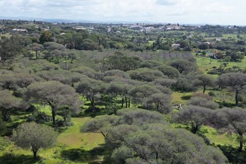 Helårsgrund i Lagoa, Faro, Lagoa - € 2.800.000 | Ref: SF-SAFTI:005001 - foto 9