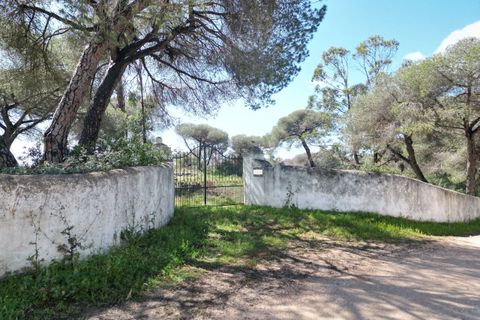 Helårsgrund i Lagoa, Faro, Lagoa - € 2.800.000 | Ref: SF-SAFTI:005001 - foto 1