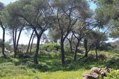 Helårsgrund i Lagoa, Faro, Lagoa - € 2.800.000 | Ref: SF-SAFTI:005001 - foto 10