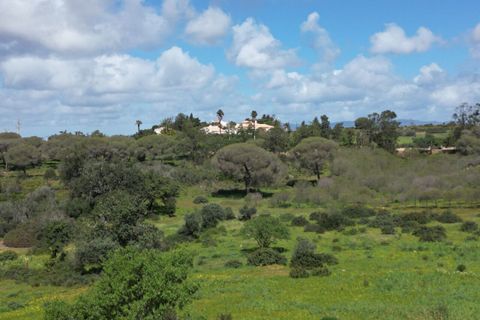 Helårsgrund i Lagoa, Faro, Lagoa - € 2.800.000 | Ref: SF-SAFTI:005001 - foto 11