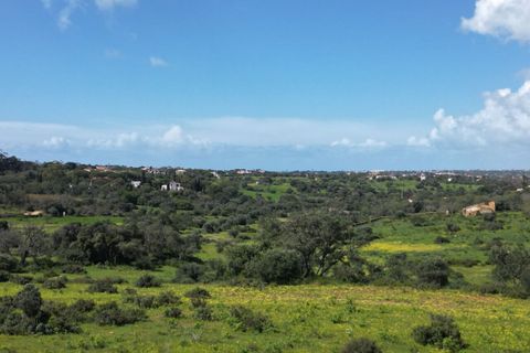 Helårsgrund i Lagoa, Faro, Lagoa - € 2.800.000 | Ref: SF-SAFTI:005001 - foto 12