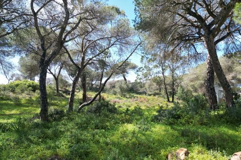 Helårsgrund i Lagoa, Faro, Lagoa - € 2.800.000 | Ref: SF-SAFTI:005001 - foto 14