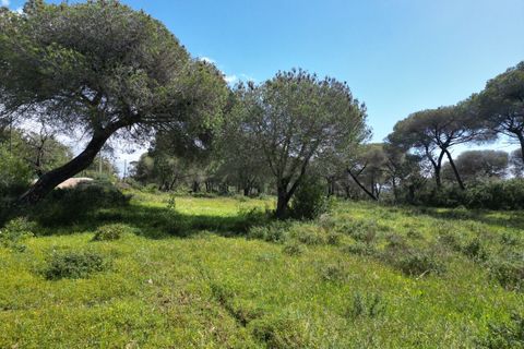 Helårsgrund i Lagoa, Faro, Lagoa - € 2.800.000 | Ref: SF-SAFTI:005001 - foto 15
