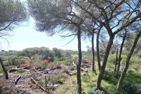 Helårsgrund i Lagoa, Faro, Lagoa - € 2.800.000 | Ref: SF-SAFTI:005001 - foto 16