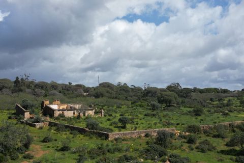Helårsgrund i Lagoa, Faro, Lagoa - € 2.800.000 | Ref: SF-SAFTI:005001 - foto 18