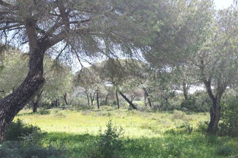 Helårsgrund i Lagoa, Faro, Lagoa - € 2.800.000 | Ref: SF-SAFTI:005001 - foto 2