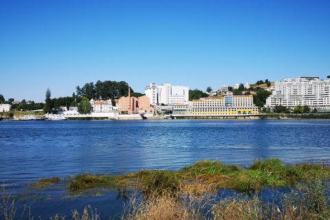 Farm i Oliveira do Douro, Porto, Oliveira do Douro - € 1.500.000 | Ref: SF-SAFTI:003724 - foto 1