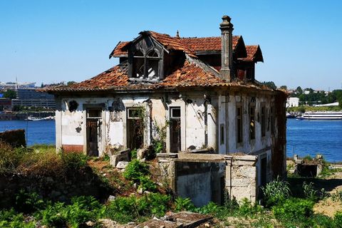 Farm i Oliveira do Douro, Porto, Oliveira do Douro - € 1.500.000 | Ref: SF-SAFTI:003724 - foto 3