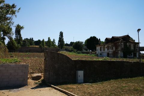Farm i Oliveira do Douro, Porto, Oliveira do Douro - € 1.500.000 | Ref: SF-SAFTI:003724 - foto 4