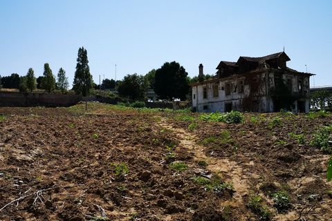 Farm i Oliveira do Douro, Porto, Oliveira do Douro - € 1.500.000 | Ref: SF-SAFTI:003724 - foto 5