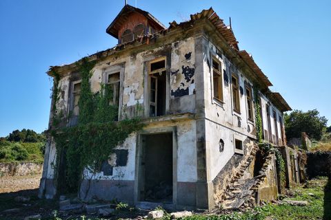 Farm i Oliveira do Douro, Porto, Oliveira do Douro - € 1.500.000 | Ref: SF-SAFTI:003724 - foto 7