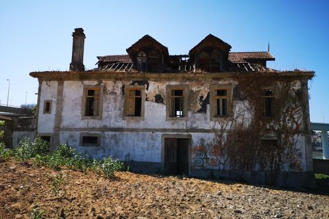 Farm i Oliveira do Douro, Porto, Oliveira do Douro - € 1.500.000 | Ref: SF-SAFTI:003724 - foto 8