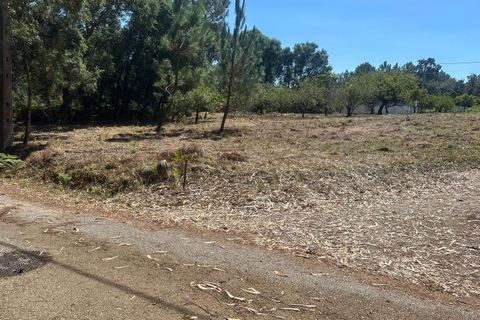 Helårsgrund i Alcobaca, Leiria, Alcobaca - € 70.000 | Ref: SF-SAFTI:005150 - foto 6