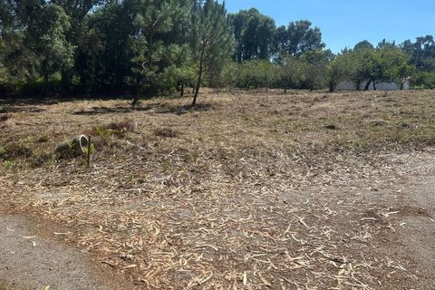 Helårsgrund i Alcobaca, Leiria, Alcobaca - € 70.000 | Ref: SF-SAFTI:005150 - foto 7