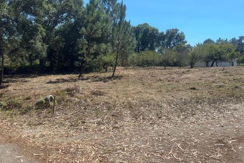 Helårsgrund i Alcobaca, Leiria, Alcobaca - € 70.000 | Ref: SF-SAFTI:005150 - foto 9