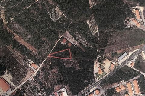 Helårsgrund i Alcobaca, Leiria, Alcobaca - € 38.000 | Ref: SF-SAFTI:005432 - foto 1