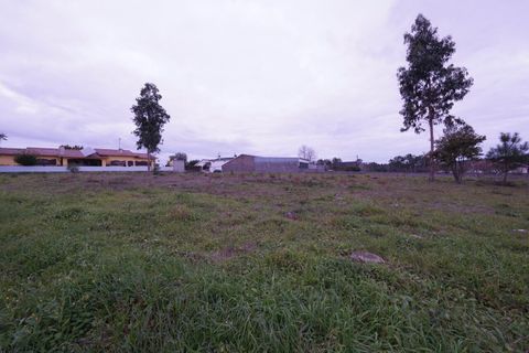 Helårsgrund i Leiria, Leiria, Leiria - € 45.000 | Ref: SF-SAFTI:004319 - foto 10