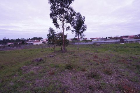 Helårsgrund i Leiria, Leiria, Leiria - € 45.000 | Ref: SF-SAFTI:004319 - foto 13