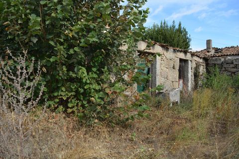 Villa a Pinhel, Guarda, Pinhel - € 90.000 | Ref: SF-SAFTI:004570 - foto 10