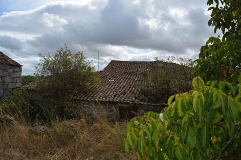 Villa a Pinhel, Guarda, Pinhel - € 90.000 | Ref: SF-SAFTI:004570 - foto 13
