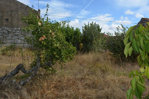 Villa a Pinhel, Guarda, Pinhel - € 90.000 | Ref: SF-SAFTI:004570 - foto 15