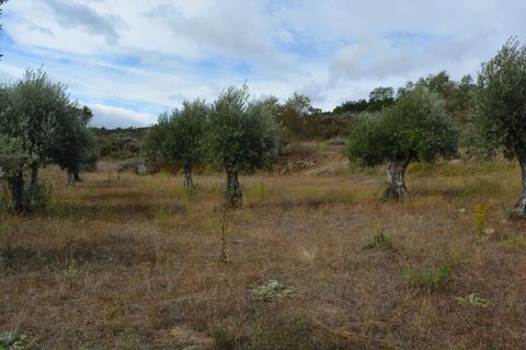 Villa a Pinhel, Guarda, Pinhel - € 90.000 | Ref: SF-SAFTI:004570 - foto 16
