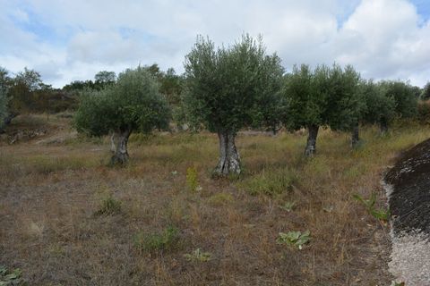 Villa a Pinhel, Guarda, Pinhel - € 90.000 | Ref: SF-SAFTI:004570 - foto 17