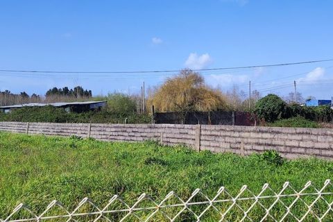 Helårsgrund i Leiria, Leiria, Leiria - € 370.000 | Ref: SF-SAFTI:005386 - foto 10
