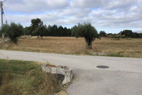 Helårsgrund i Tomar, Santarem, Tomar - € 19.900 | Ref: SF-SAFTI:005711 - foto 2