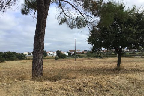 Helårsgrund i Tomar, Santarem, Tomar - € 19.900 | Ref: SF-SAFTI:005711 - foto 5