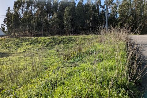 Helårsgrund i Pombal, Leiria, Pombal - € 86.000 | Ref: SF-SAFTI:004376 - foto 4