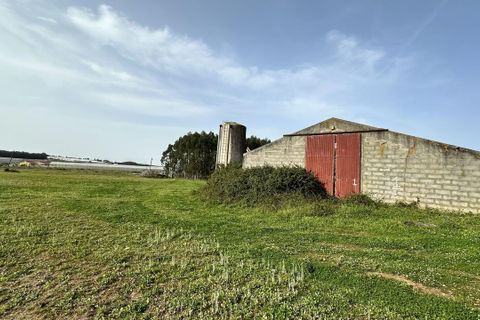 Helårsgrund i Maxial e Monte Redondo, Lisbon, Maxial e Monte Redondo - € 395.000 | Ref: SF-SAFTI:005633 - foto 1