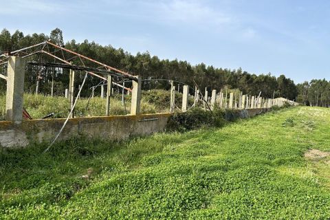 Helårsgrund i Maxial e Monte Redondo, Lisbon, Maxial e Monte Redondo - € 395.000 | Ref: SF-SAFTI:005633 - foto 5