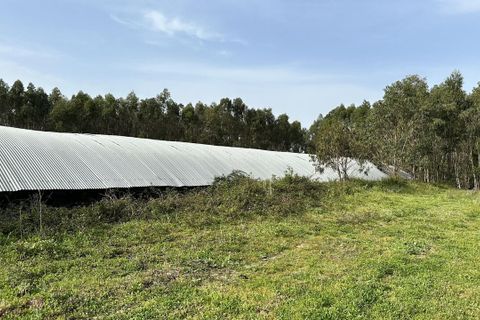 Helårsgrund i Maxial e Monte Redondo, Lisbon, Maxial e Monte Redondo - € 395.000 | Ref: SF-SAFTI:005633 - foto 13