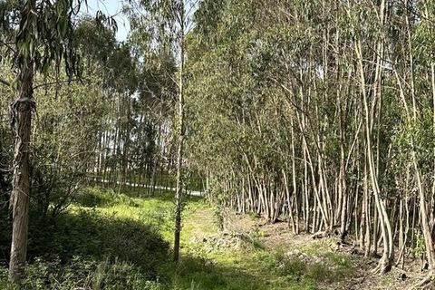 Helårsgrund i Maxial e Monte Redondo, Lisbon, Maxial e Monte Redondo - € 395.000 | Ref: SF-SAFTI:005633 - foto 16