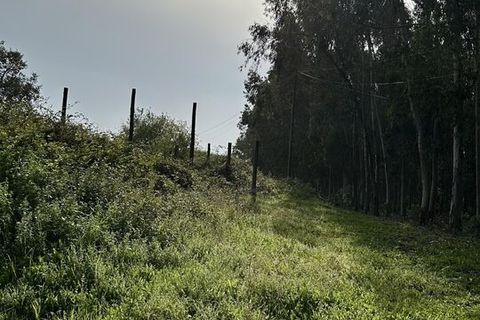 Helårsgrund i Maxial e Monte Redondo, Lisbon, Maxial e Monte Redondo - € 395.000 | Ref: SF-SAFTI:005633 - foto 19