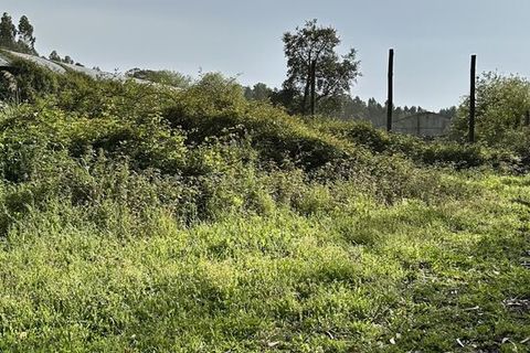 Helårsgrund i Maxial e Monte Redondo, Lisbon, Maxial e Monte Redondo - € 395.000 | Ref: SF-SAFTI:005633 - foto 20