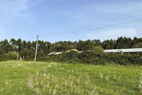 Helårsgrund i Maxial e Monte Redondo, Lisbon, Maxial e Monte Redondo - € 395.000 | Ref: SF-SAFTI:005633 - foto 23