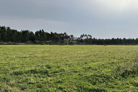 Helårsgrund i Maxial e Monte Redondo, Lisbon, Maxial e Monte Redondo - € 395.000 | Ref: SF-SAFTI:005633 - foto 25