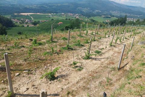 Helårsgrund i Ceivaes e Badim, Viana do Castelo, Ceivaes e Badim - € 18.000 | Ref: SF-SAFTI:005451 - foto 4